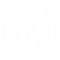 Wordpress Development