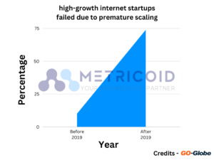 high-growth internet startups failed due to premature scaling
